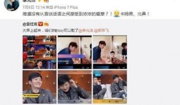 男团采访爆料视频完整版,独家采访完整版深度解析