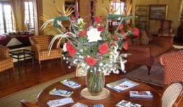 玫瑰旅店在线观看,浪漫邂逅，揭秘神秘爱情故事